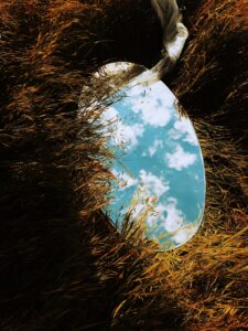A photo which shows a mirror lying amidst tall grasses. Reflected in the mirror is a blue sky with clouds in it floating above.